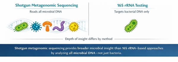 Why Most At‑Home Gut Tests Miss the Full Picture And What Makes Dayhoff Different: 16s vs. Shotgun Sequencing